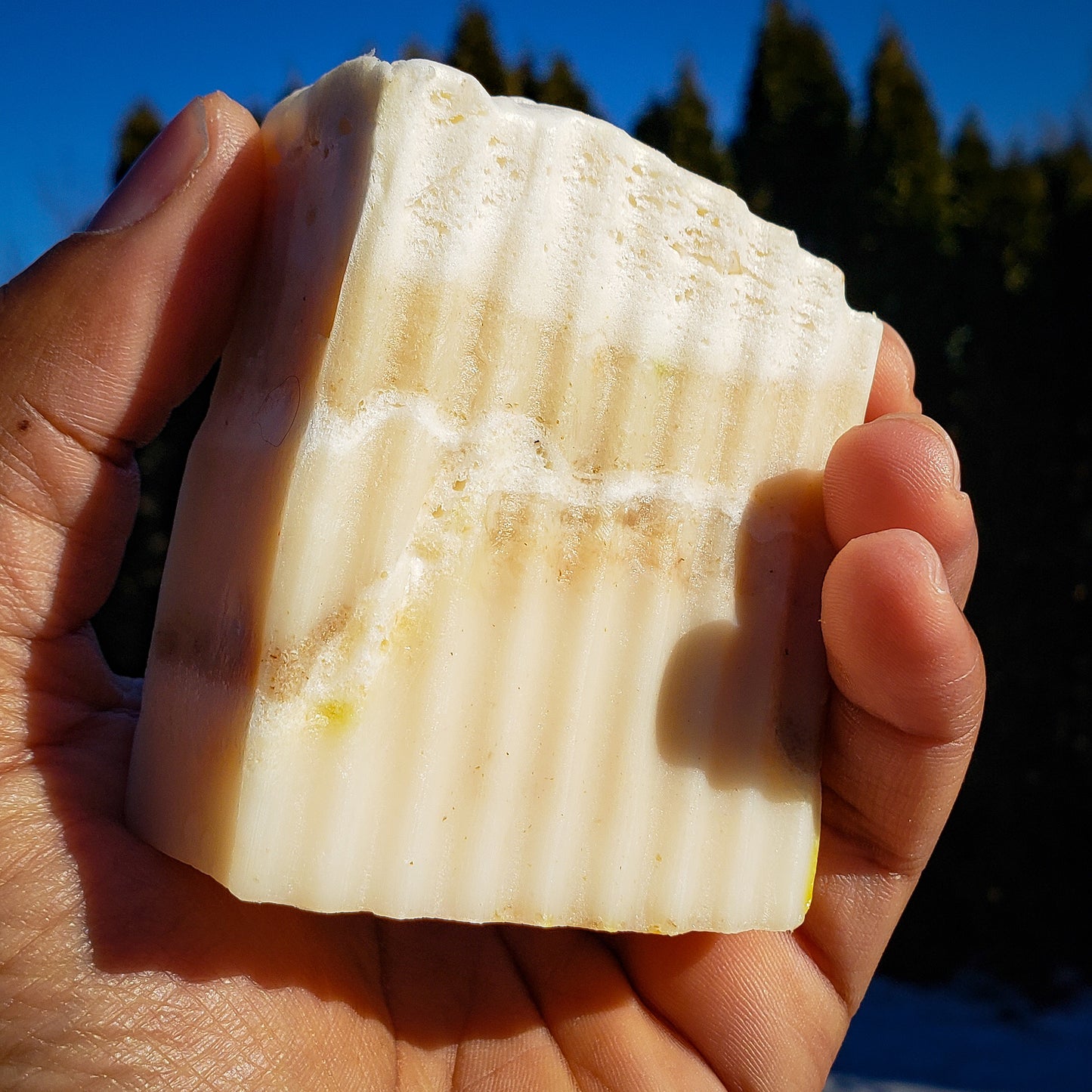 Jumbo Vegan & Kosher Colloidal Silver Aloe Vera and Oatmeal Bar Face  Lift Bar Hebrew Care
