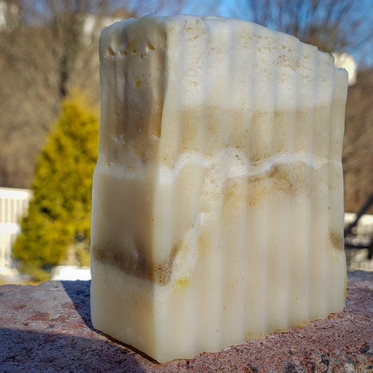 Jumbo Vegan & Kosher Colloidal Silver Aloe Vera and Oatmeal Bar Face  Lift Bar Hebrew Care